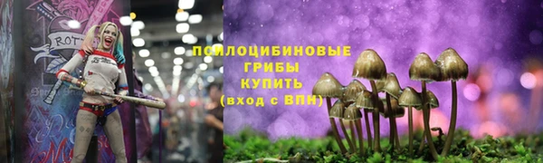 тгк Армянск