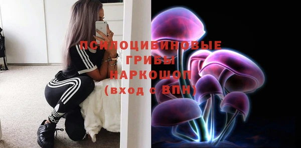 амф Аркадак