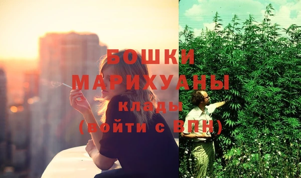 амф Аркадак