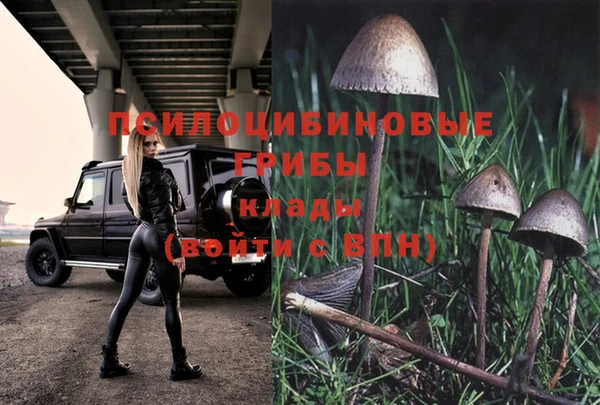 тгк Армянск