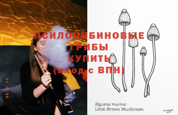 ECSTASY Арсеньев