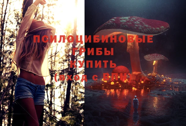 амф Аркадак