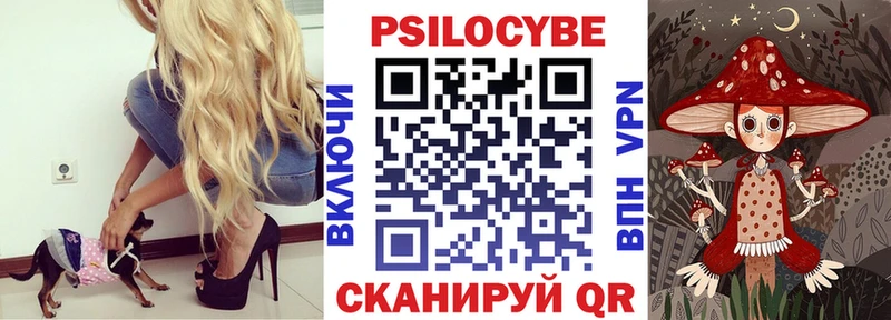 Галлюциногенные грибы Cubensis Купить Остров